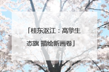 桂东沤江：高擎生态旗 描绘新画卷