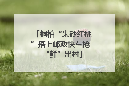 桐柏“朱砂红桃”搭上邮政快车抢“鲜”出村