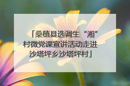 桑植县选调生“湘”村微党课宣讲活动走进沙塔坪乡沙塔坪村