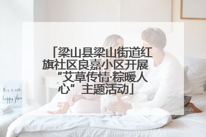 梁山县梁山街道红旗社区良嘉小区开展“艾草传情·粽暖人心”主题活动
