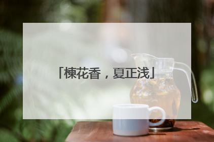 楝花香，夏正浅