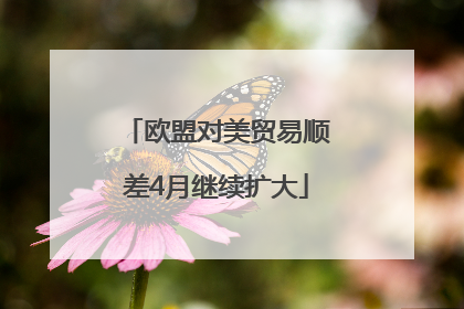欧盟对美贸易顺差4月继续扩大