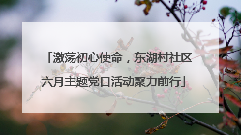 激荡初心使命，东湖村社区六月主题党日活动聚力前行