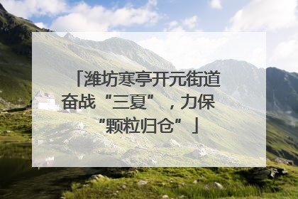潍坊寒亭开元街道奋战“三夏”，力保“颗粒归仓”