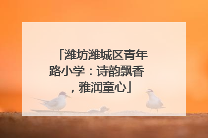 潍坊潍城区青年路小学：诗韵飘香，雅润童心