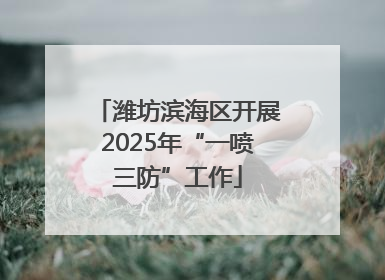 潍坊滨海区开展2025年“一喷三防”工作