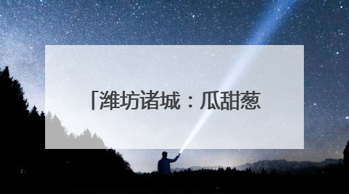 潍坊诸城：瓜甜葱郁处 产业好风光