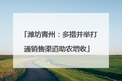 潍坊青州：多措并举打通销售渠道助农增收