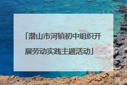 潜山市河镇初中组织开展劳动实践主题活动