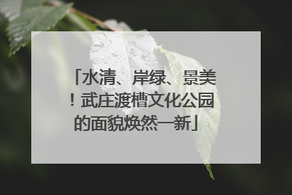 水清、岸绿、景美！武庄渡槽文化公园的面貌焕然一新