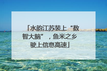 水韵江苏装上“数智大脑”，鱼米之乡驶上信息高速