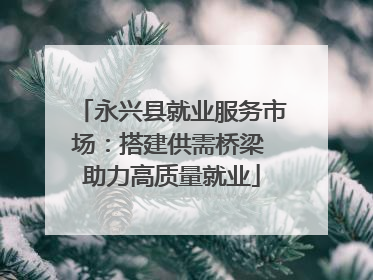永兴县就业服务市场：搭建供需桥梁 助力高质量就业