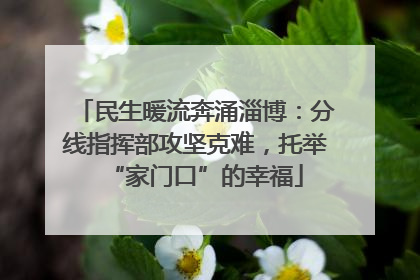 民生暖流奔涌淄博：分线指挥部攻坚克难，托举“家门口”的幸福