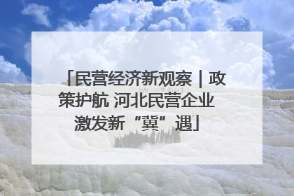 民营经济新观察｜政策护航 河北民营企业激发新“冀”遇