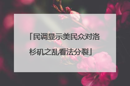 民调显示美民众对洛杉矶之乱看法分裂
