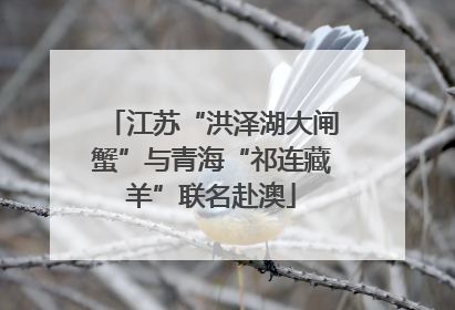 江苏“洪泽湖大闸蟹”与青海“祁连藏羊”联名赴澳