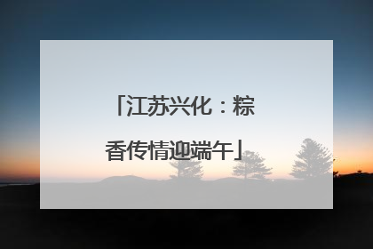 江苏兴化：粽香传情迎端午