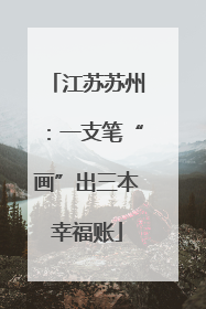 江苏苏州：一支笔“画”出三本幸福账