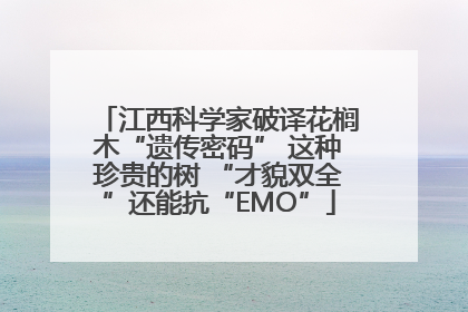 江西科学家破译花榈木“遗传密码” 这种珍贵的树 “才貌双全”还能抗“EMO”
