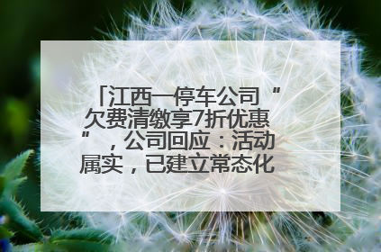 江西一停车公司“欠费清缴享7折优惠”，公司回应：活动属实，已建立常态化诉讼追缴机制