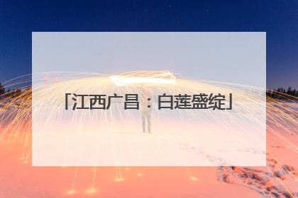 江西广昌：白莲盛绽