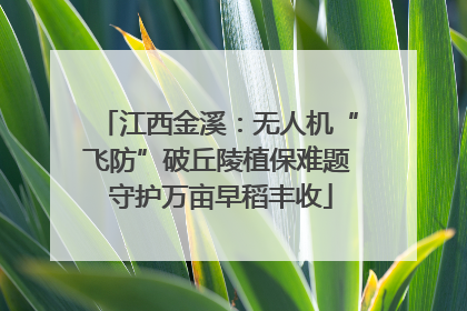 江西金溪：无人机“飞防”破丘陵植保难题 守护万亩早稻丰收
