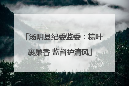 汤阴县纪委监委：粽叶裹廉香 监督护清风