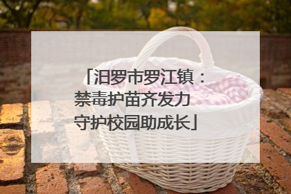 汨罗市罗江镇：禁毒护苗齐发力 守护校园助成长