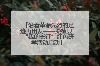 沿着革命先烈的足迹再出发——桑植县“我的长征”红色研学活动启动