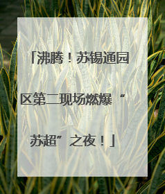 沸腾！苏锡通园区第二现场燃爆“苏超”之夜！