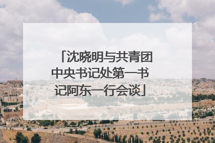 沈晓明与共青团中央书记处第一书记阿东一行会谈