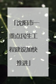 沈阳市一重点民生工程建设加快推进