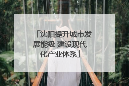 沈阳提升城市发展能级 建设现代化产业体系