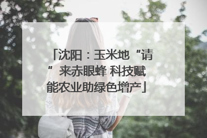 沈阳：玉米地“请”来赤眼蜂 科技赋能农业助绿色增产