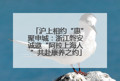 沪上相约“惠”聚申城：浙江磐安诚邀“阿拉上海人”共赴康养之约