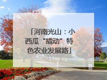 河南光山：小西瓜“撬动”特色农业发展路