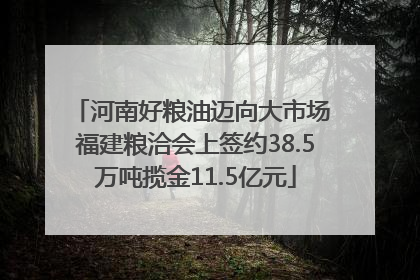 河南好粮油迈向大市场 福建粮洽会上签约38.5万吨揽金11.5亿元