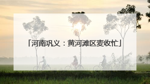 河南巩义：黄河滩区麦收忙