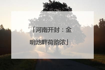 河南开封：金明池畔荷韵浓