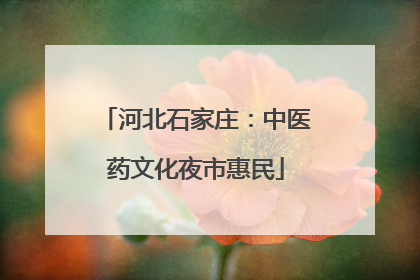 河北石家庄：中医药文化夜市惠民