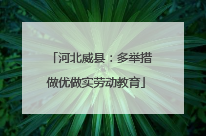 河北威县：多举措做优做实劳动教育