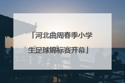 河北曲周春季小学生足球锦标赛开幕