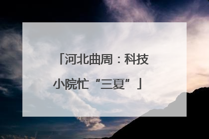 河北曲周：科技小院忙“三夏”
