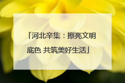 河北辛集：擦亮文明底色 共筑美好生活