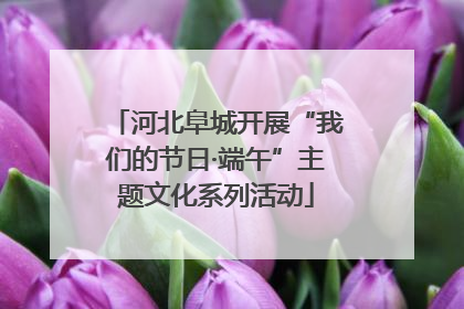 河北阜城开展“我们的节日·端午”主题文化系列活动