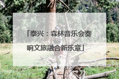 泰兴：森林音乐会奏响文旅融合新乐章
