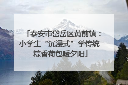 泰安市岱岳区黄前镇：小学生“沉浸式”学传统 粽香荷包暖夕阳