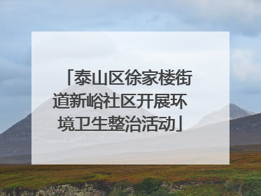 泰山区徐家楼街道新峪社区开展环境卫生整治活动