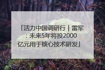活力中国调研行｜雷军：未来5年将投2000亿元用于核心技术研发