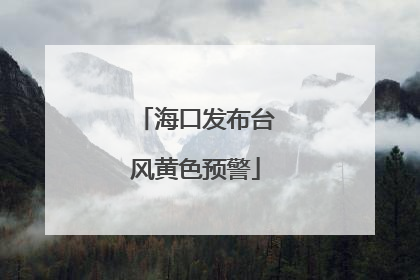 海口发布台风黄色预警